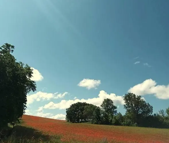 Appartement L'éolienne Valensole